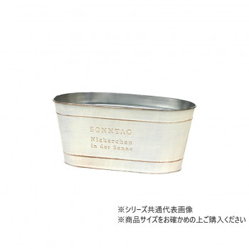 大橋新治商店 ゾンターク ホワイトD4W 31-114