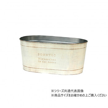 大橋新治商店 ゾンターク ホワイトD5W 31-115