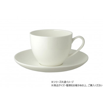 BCカップ&ソーサー 704890