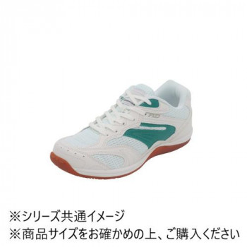 アスティコ AD 体育館シューズ グリーン 22.0cm