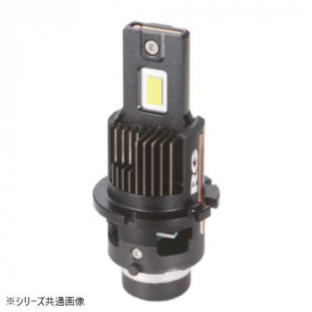 R-GEAR レーシングギア LEDHEAD SS D2S 6000K RGH-P912