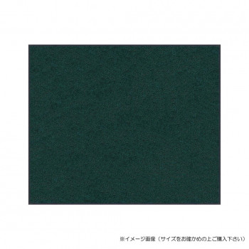 (クリーンテックス) スタンダードマットS ダーク・グリーン 45×75 cm