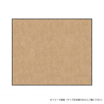 (クリーンテックス) スタンダードマットS    シャンペーン  45×75  cm