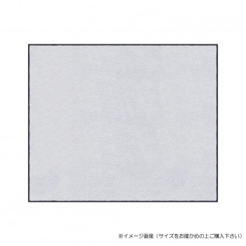 (クリーンテックス) スタンダードマットS ホワイト 45×75 cm