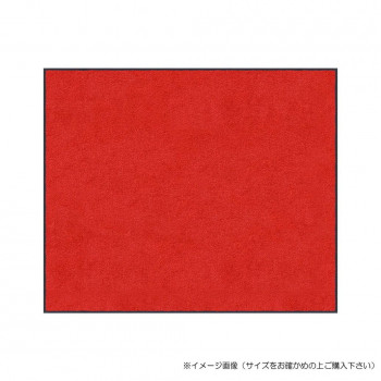(クリーンテックス) スタンダードマットS レッド 75×90 cm