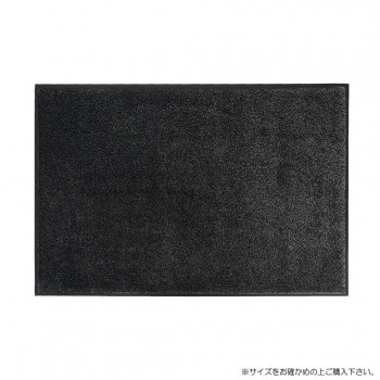 (クリーンテックス) 玄関マット Eco Absorb 60×90cm