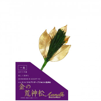 A＆K 日本製プリザーブド 金の荒神松 gKJ-001