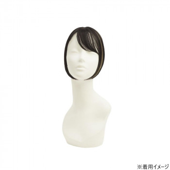 プリシラ ちょびっと白髪かくし スタンダード ナチュラルブラックハイメッシュ ST-012-2NHM