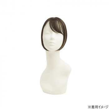 プリシラ ちょびっと白髪かくし スタンダード ダークブラウンハイメッシュ ST-012-3AHM