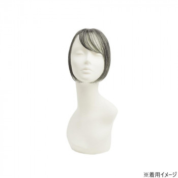プリシラ ちょびっと白髪かくし スタンダード 耐熱 ナチュラルグレイヘア ST-012-TNGH