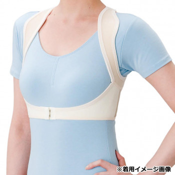 ビビエルボ シャキッと姿勢補正ベルト 厚手 L 4806