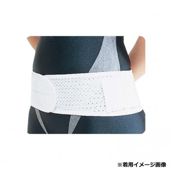 アシスト 腰・骨盤 ツインベルト ホワイト LL 105～120cm 00313
