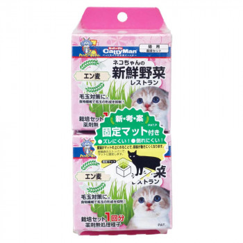 ドギーマンハヤシ ネコちゃんの新鮮野菜レストラン 2P 1212871