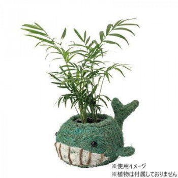 GREEN HOUSE ひだまりアニマルポット クジラ 5591