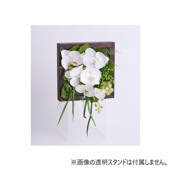 Phalaeno+ アーティシャルフラワー 造花 胡蝶蘭アレンジ ファレノ フューメ F-6193