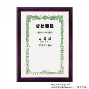 大額 賞状額 ネオ光輝 七五 142
