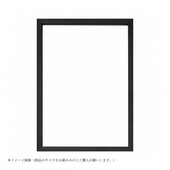 大額 BOXフレーム 7920 OA-B4 ブラック