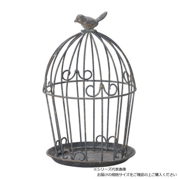 友膳 ラカージュ MDGY UF628