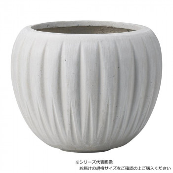 友膳 デンテリュールサークル MGY G1033