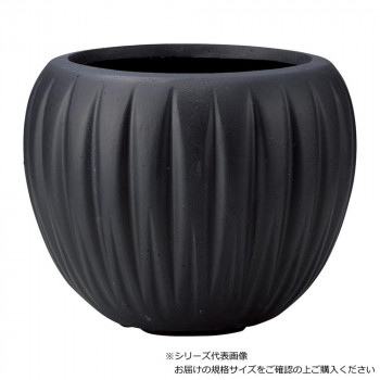 友膳 デンテリュールサークル SB G1036