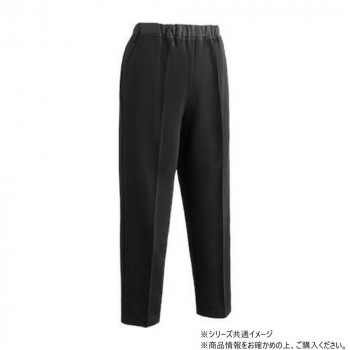 ケアファッション 着るサプIFMC.おしりスルッとパンツ (デイリーカチオン) (婦人) ブラック L 80055512