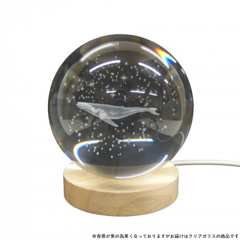 3Dクリエイティブグラスボール クジラ IN016681