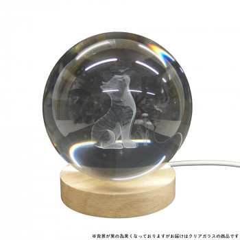 3Dクリエイティブグラスボール キャット IN016698