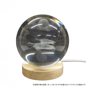 3Dクリエイティブグラスボール ウミガメ IN016704