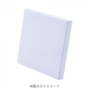 ナカバヤシ 紙製組み立てキャンバス130×130mm2枚セット/ホワイト PAC-1313-2PWH