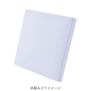 ナカバヤシ 紙製組み立てキャンバス210×210mm2枚セット/ホワイト PAC-2121-2PWH