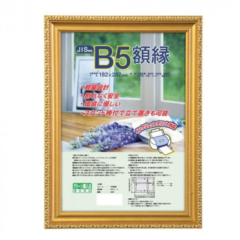 ナカバヤシ 樹脂製賞状額 金ケシ B5 フ-KWP-31/V
