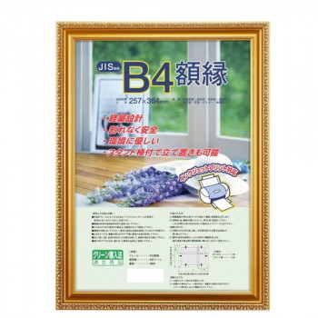 ナカバヤシ 樹脂製賞状額 金ケシ B4 フ-KWP-36/V