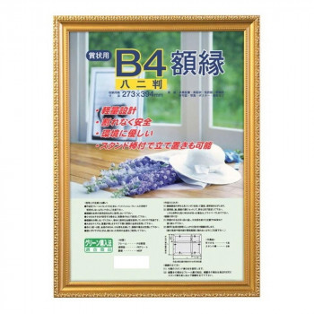ナカバヤシ 樹脂製賞状額 金ケシ 八二 フ-KWP-37/V