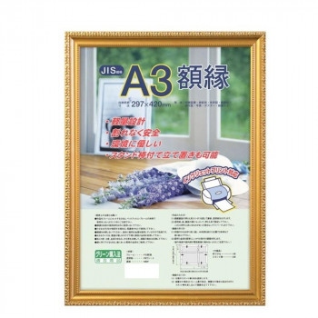 ナカバヤシ 樹脂製賞状額 金ケシ A3 フ-KWP-40/V