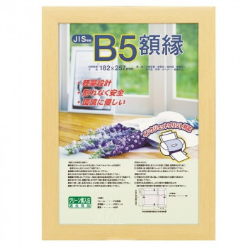 ナカバヤシ 樹脂製軽量額縁 木地 B5 フ-KWP-51/V