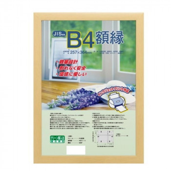 ナカバヤシ 樹脂製軽量額縁 木地 B4 フ-KWP-56/V