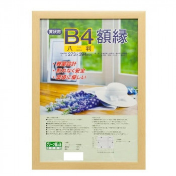 ナカバヤシ 樹脂製軽量額縁 木地 八二 フ-KWP-57/V