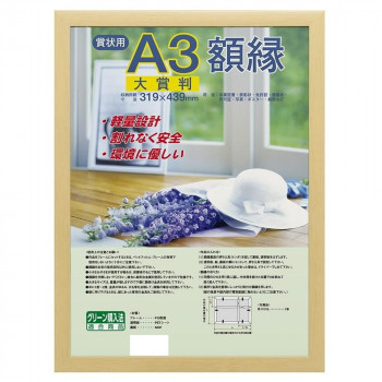 ナカバヤシ 樹脂製軽量額縁 木地 大賞 フ-KWP-61/V