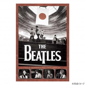 アップルワン ジグソーパズル ザ・ビートルズ ライブ イン ジャパン 1966  300ピース 300-401