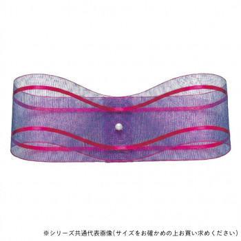 東京リボン 33211 Wライナーオーガンジー 24mm×30m 8