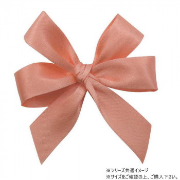 青山　リボン　ワンタッチリボン ダブル タイドボウ 両面テープ付 18mm幅×100個入  7409-43