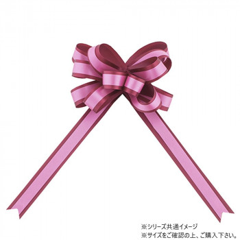 青山　リボン　ワンタッチリボン カスタムダブルループボウ 22mm幅×25枚入  2356-17