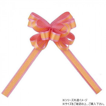 青山　リボン　ワンタッチリボン カスタムダブルループボウ 22mm幅×25枚入  2356-47