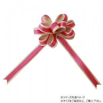 青山　リボン　ワンタッチリボン カスタムダブルループボウ 22mm幅×25枚入  2356-54