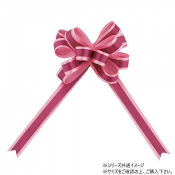 青山　リボン　ワンタッチリボン カスタムダブルループボウ 22mm幅×25枚入  2356-59