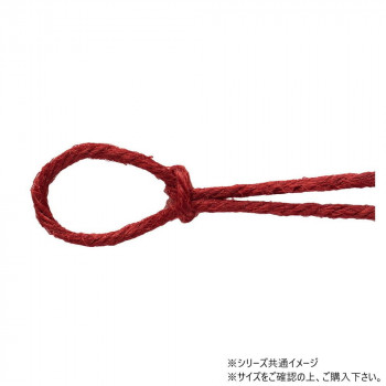 青山　リボン カラージュートコード 2.5mm×48m  2131-16