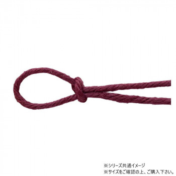 青山　リボン カラージュートコード 2.5mm×48m  2131-18