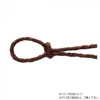 青山　リボン カラージュートコード 2.5mm×48m  2131-60