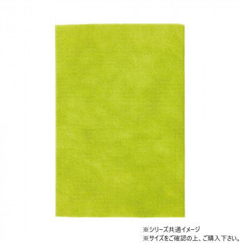 青山　不織布ギフトバック ギフトパックベーシック M 25cm×15cm×50枚入  7177-05