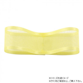青山　リボン シェアーサテン 10mm×30m 218-03